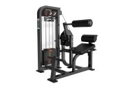 Разгибание спины Protrain CP121