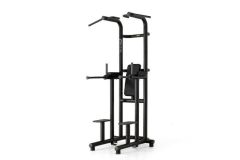 Technogym Chin Up Dip Leg Raise